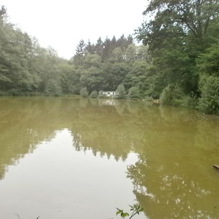Gite Le Sous-Bois Cerfontaine Esterno foto