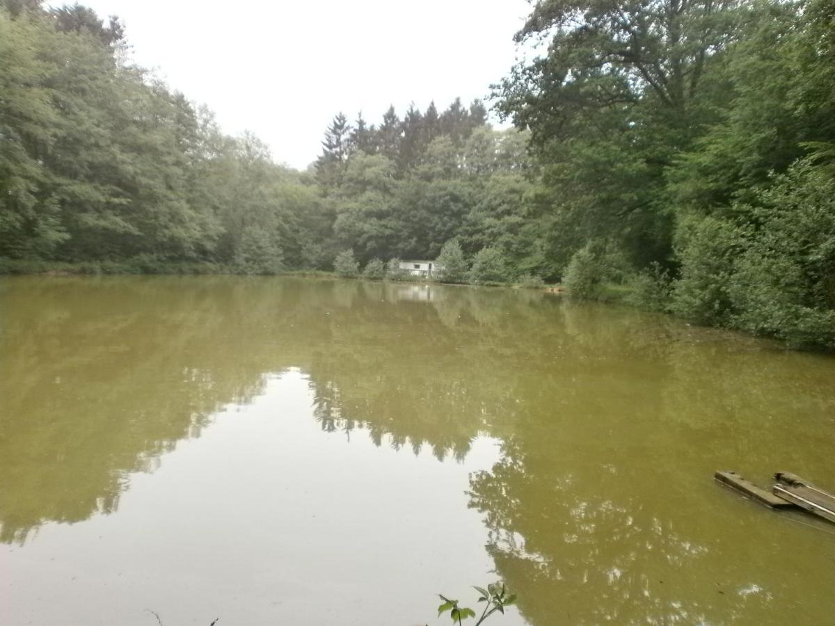 Gite Le Sous-Bois Cerfontaine Esterno foto