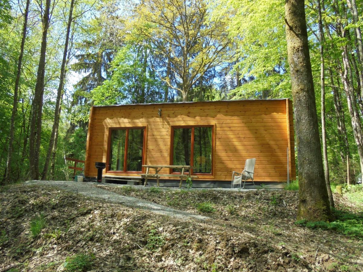 Gite Le Sous-Bois Cerfontaine Esterno foto